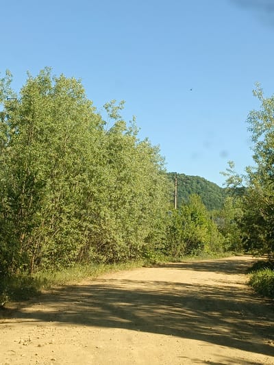 The image depicts a dirt road in a rural setting, likely located near Gabdyukovo, Russia, given the prompt's request. The road is flanked by trees and vegetation on both sides. The sky is clear and blue. In the distance, there is a hill or mountain covered in trees, and a utility pole is visible. The road is unpaved and shows signs of wear. There are no people visible in the image. The primary subjects are the road, trees, and landscape. The scene suggests a quiet, natural environment.