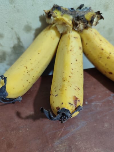 A bunch of three overripe yellow bananas rests on a reddish-brown surface, possibly a table. The bananas have brown spots and some browning near their stems. The background is a light-colored wall with subtle staining. The lighting suggests an indoor setting. The scene is devoid of people or any explicit indication of location within Lancokpanteara, Indonesia.