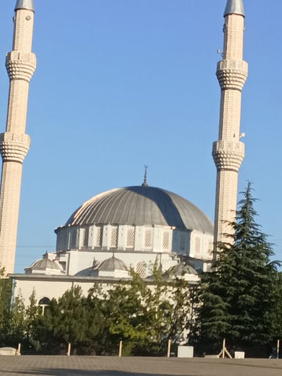 A mosque with two tall minarets and a large dome is visible against a clear blue sky. The mosque is light-colored with intricate architectural details on the minarets, which are topped with conical spires. The dome is ribbed and has a crescent moon symbol at its apex. Smaller domes are also present on the mosque's roof. Green trees, including a tall evergreen, surround the mosque. The scene appears to be set during the daytime, with sunlight casting shadows and highlighting the architectural features. The ground in front of the mosque is paved. The location is identified as Bahşılı Belediyesi, Turkey.