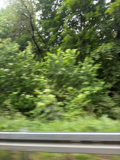 The image shows a blurred view of trees and vegetation from a moving vehicle, with a guardrail in the foreground. The foliage is predominantly green, indicating a natural environment. The motion blur suggests a roadside setting, likely in a rural or suburban area. The location in Wilkowisko, Poland, implies the presence of Polish flora and potentially Polish roadside infrastructure. No people or specific objects are clearly identifiable due to the blur. The scene is an outdoor environment characterized by green plant life.
