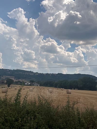 An outdoor, medium shot captures a rural landscape under a sky filled with dramatic, billowing white and gray clouds. The scene is dominated by a harvested field of wheat, dotted with numerous round hay bales arranged in rows. In the middle ground, a cluster of white buildings, possibly farmhouses or a small estate, are nestled amongst trees. Beyond the buildings, a dark, densely forested hill rises, its contours softened by distance and atmospheric haze. A thin, black wire stretches horizontally across the frame in the upper middle ground, suggesting the presence of utility lines. The foreground is partially obscured by lush green foliage, creating a natural frame for the view beyond. The image is set in the countryside near Passaggio, Italy.
