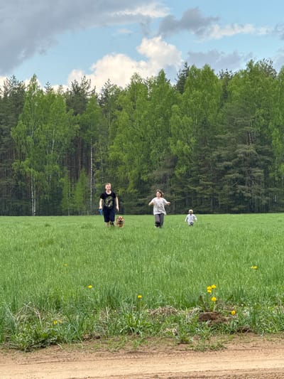 The image depicts a grassy field bordered by a forest on the left and a dirt road on the right. In the field, there are three people and a dog. One person is wearing a black shirt and shorts, accompanied by a dog. Another individual is wearing a white shirt and dark pants, while a third person is wearing a light-colored outfit with a hat. The environment includes green grass, dandelions, trees, clouds, and sky. The location is near Малая Рукавицкая, Russia.