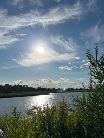 The image depicts a scenic view of a body of water, likely a river or lake, under a bright, partly cloudy sky. The sun is prominent in the upper left quadrant, casting a strong glare on the water's surface, creating a shimmering effect. Wispy cirrus clouds stretch across the blue sky, interspersed with smaller cumulus clouds. Along the far bank of the water, a dense line of trees forms a dark green horizon. In the foreground, lush green vegetation, including bushes and some flowering plants with purple blossoms, partially obscures the lower edge of the water and the far bank. The overall scene suggests an outdoor, natural environment. The location is specified as Shyroka Dacha, Ukraine. There are no people or specific actions depicted.