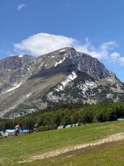 This image captures a wide-angle view of a mountainous landscape in Razvršje, Montenegro, under a clear blue sky with scattered white cumulus clouds. A large, rugged mountain, exhibiting exposed grey rock faces and numerous white snow patches, dominates the background. Dark green coniferous and deciduous trees line the lower slopes of the mountain and form a dense forest band across the midground. Approximately five parallel white cables, possibly power lines or ski lift lines, traverse the image diagonally from the upper right to the mid-left, passing in front of the mountain face.
In the midground, on the left side of the image, several small structures resembling cabins or houses are visible. One prominent building features a bright red sloped roof, while others exhibit light blue, grey, and green sloped roofs. Fences are present around these structures. Towards the right side of the midground, nestled near the forest edge, are multiple small, green-roofed structures, potentially tents or small bungalows.
The foreground is comprised of a vibrant green grassy field, gently sloping downwards from right to left. This field is dotted with numerous small yellow and white wildflowers. A distinct lighter-colored, possibly gravel or dirt, pathway or cleared strip runs diagonally through the field from the lower right quadrant towards the mid-left. No individuals are present in the scene. The overall lighting indicates daytime conditions, with shadows suggesting a direct sunlight source.