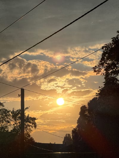 This is a nighttime photograph, taken from a low angle, looking upwards towards a sky filled with dramatic clouds illuminated by an unseen light source, likely artificial streetlights or the moon obscured by cloud cover. The scene is dominated by these glowing clouds, which range in color from bright white to soft yellow and orange, creating an ethereal and somewhat unsettling atmosphere.
Several dark, thin wires stretch diagonally across the frame, suggesting the presence of power lines. These wires create a strong geometric contrast against the organic shapes of the clouds. In the foreground and along the edges of the image, silhouetted trees with dense foliage are visible, adding depth and framing the sky. The overall impression is one of a busy urban or suburban environment, possibly near a wooded area, at night. The lighting suggests a moment of high illumination, possibly from a passing vehicle or a strong light source off-camera, casting an unusual glow on the clouds. There are no people visible in the image. The emotional tone is a mix of awe at the dramatic sky and a slight sense of unease due to the low lighting and the presence of the wires. There is no visible text.