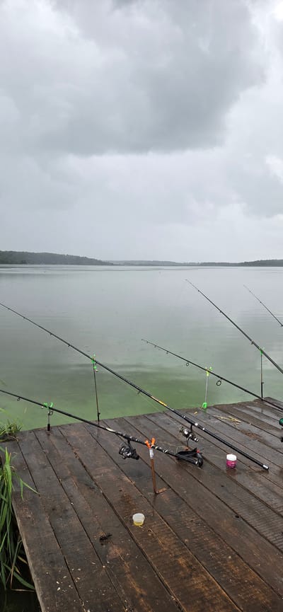 This media file depicts a serene fishing scene on a wooden dock overlooking a calm, overcast lake. The setting is Серединское, Russia. The sky is a uniform gray, suggesting a cloudy day, possibly with light rain as indicated by subtle ripples on the water's surface.
The primary subjects are fishing rods, lined up on the dock, ready for use. Several rods are angled towards the water, with their lines extending into the greenish, murky depths. The dock itself is constructed of weathered wooden planks, showing signs of age and use.
Notable details include various fishing accessories scattered on the dock, such as colorful rod holders and small containers, one of which appears to be a pink bait box and another a yellow lid. There's also a black fishing lure or bait visible on the wood. The overall atmosphere is one of quiet anticipation, the stillness of the scene evoking a sense of peace and solitude, typical of a day spent fishing. No people are visible in the frame, emphasizing the solitary nature of the activity. The lush green reeds at the edge of the dock add a touch of natural beauty to the otherwise utilitarian scene.