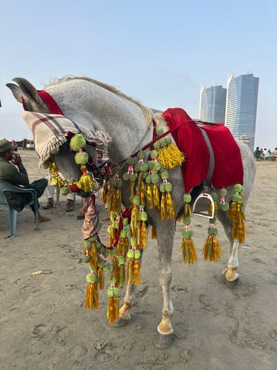 The image displays a decorated horse standing on a sandy surface, likely a beach, with modern skyscrapers visible in the background. The horse is adorned with a red blanket, a white and red striped cloth around its neck, and an elaborate garland of green pom-poms and gold tassels. The garland is draped along the horse's body.
Several people are present in the scene, some seated on chairs, while others appear to be standing. One man in the foreground is seated on a blue plastic chair, wearing a green cap and uniform, and appears to be looking down, possibly talking. Another person behind the horse is wearing a pinkish garment. The overall scene suggests a gathering or event, possibly a cultural celebration or a procession.
The time of day appears to be daytime, with clear skies and ample sunlight casting shadows on the sand. The presence of skyscrapers in the background hints at an urban coastal location. The mood seems relaxed, with people casually observing the decorated horse. No visible text is present in the image. The setting is consistent with Saddar Town, Pakistan, which features a coastline with modern development.