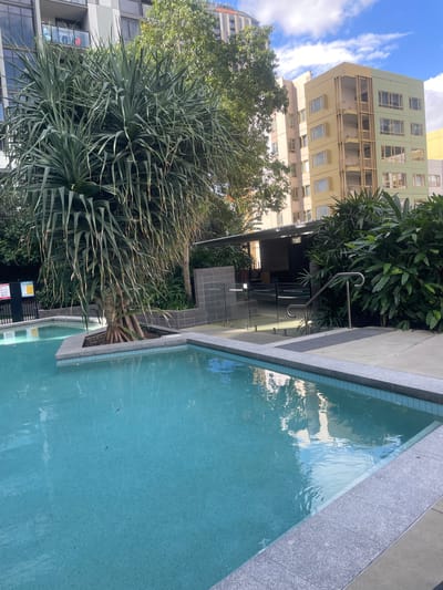 An outdoor swimming pool is situated in a modern urban setting, likely in Brisbane, Australia, given the architectural style of the surrounding buildings. The pool is filled with clear, turquoise water, reflecting the sky and the adjacent buildings. The pool's edge is bordered by granite tiles and a concrete walkway.
In the foreground, a large, spiky pandanus tree stands prominently, its long, strap-like leaves casting shadows. Behind the tree, a sheltered area with seating and tables is visible, partially obscured by dense green foliage. Further in the background, multi-story apartment buildings with light-colored facades and balconies dominate the skyline, interspersed with trees and a clear blue sky with scattered clouds. The overall scene suggests a residential complex or hotel with a communal pool area designed for relaxation and leisure. No people are visible in the image.