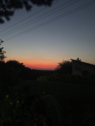 The image depicts a twilight scene in the city of Gorni Vadin, Bulgaria. In the foreground, dark foliage and what appear to be small, round fruits are visible. A dark fence or netting runs horizontally across the mid-ground. Behind this, silhouetted trees create a dense line against a gradient sky that transitions from a pale blue at the top to a vibrant orange-red near the horizon. A portion of a house with a dark roof and a chimney is visible on the right side of the frame, silhouetted against the twilight sky. Four parallel power lines stretch across the upper portion of the image, casting faint shadows. The overall impression is of a natural landscape at dusk, with hints of human habitation.