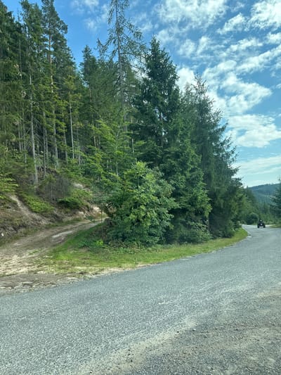The image depicts a rural road winding through a dense coniferous forest. The road surface is gravel. On the right side of the road, a dark-colored ATV with a rider is visible in the distance. The forest consists of tall evergreen trees with lush green foliage. A dirt path branches off to the left, leading uphill and disappearing into the trees. The sky is blue with scattered white clouds. The overall environment suggests a natural, possibly mountainous, landscape, consistent with the area around Chełmsko Śląskie, Poland, known for its forested hills and outdoor recreational opportunities. There are no discernible buildings or urban elements in the immediate vicinity.