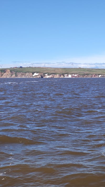 The image depicts a wide expanse of choppy, brown water in the foreground, with whitecaps and ripples indicative of wind. In the background, a grassy cliff rises from the water, dotted with patches of snow near its base. The cliff top is mostly green, with a few scattered buildings and several wind turbines visible. The sky is a clear, bright blue, with a few wispy white clouds on the horizon. The overall impression is of a coastal landscape on a windy, clear day.