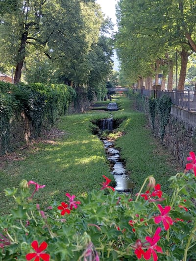The image depicts a charming canal running through a park in Levico Terme, Italy. The canal is flanked by stone walls covered in lush green ivy on one side and a metal fence with trees lining the pathway on the other. A small waterfall cascades down the canal, creating a gentle flow of water. The banks of the canal are covered in manicured green grass, with sunlight dappling through the leaves of the overhead trees, casting a warm glow on the scene. In the foreground, vibrant red geraniums add a splash of color to the natural landscape. A pedestrian bridge can be seen in the distance, arching over the canal, adding to the picturesque view. The overall atmosphere is serene and tranquil, typical of a European park.