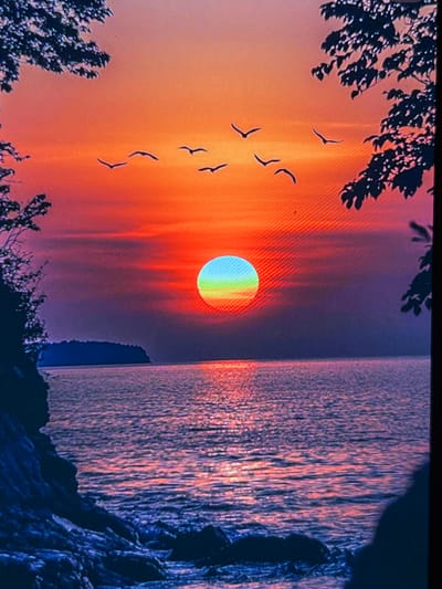 This media file depicts a scenic sunset over a body of water, with a rocky coastline in the foreground. The sun, positioned in the center of the frame, appears as a vibrant orb with a rainbow-like spectrum. Silhouettes of trees frame the top and bottom edges of the image, and a flock of birds is captured in mid-flight against the colorful sky. The water reflects the intense colors of the sunset, creating a shimmering effect. The overall mood is tranquil and awe-inspiring, evoking a sense of natural beauty. The image is a photograph or digital artwork, likely representing a landscape scene. No visible text is present. The location context provided is Montfermeil, France, suggesting this scene may be inspired by or located in that area, known for its natural parks and scenic views.