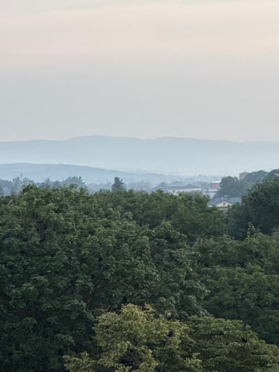 The image depicts a hazy landscape viewed from a slightly elevated perspective, with a dense arrangement of trees occupying the right side of the frame. In the background, layers of hills fade into a pale, muted sky, suggesting a significant distance or atmospheric obscurity, possibly due to fog or smoke. On the left side of the image, a broad expanse of this hazy sky dominates, with faint, lighter patches suggesting diffused light.
Peeking through the trees and mist in the mid-ground are glimpses of buildings, indicating a settlement or town nestled within the landscape. Some of these structures have discernible rooflines and architectural features, but their details are softened by the distance and haze. The trees themselves are lush and varied, with darker green foliage in the foreground and lighter, almost yellowish-green leaves in some areas, suggesting different tree types or the play of light. A few dark shapes, possibly birds, are visible perched on the branches of the trees on the far right.
The overall mood is serene and somewhat melancholic, with the hazy atmosphere creating a sense of depth and mystery. The soft light and muted colors suggest it could be early morning or late afternoon, or perhaps a day with overcast weather. There is no visible text in the image. The context provided places the scene in Kolomyia, Ukraine, adding a specific geographical reference to this tranquil, atmospheric view.
