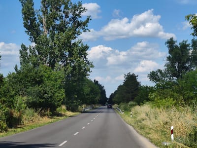 The image depicts a rural road in Krushovitsa, Bulgaria, on a clear, sunny day. The road, lined with lush green trees and vegetation, stretches into the distance, bordered by white and red striped markers. A single dark-colored car is visible driving away from the viewer, heading towards a dense tree line in the background. The sky is a vibrant blue, dotted with fluffy white clouds. The scene evokes a sense of a peaceful journey through a natural landscape. There is no visible text in the image.