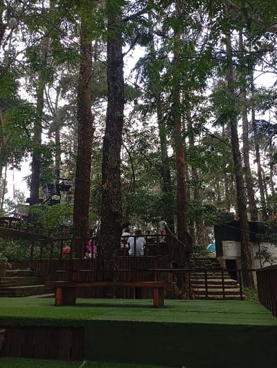The image depicts an outdoor recreational facility situated within a forested area in Kajar, Indonesia. The foreground features a flat, elevated surface covered in green artificial turf, on which a single, long wooden bench is placed. Behind this, a multi-tiered structure of wooden platforms with railings is visible, accessed by wooden and stone steps. Approximately seven individuals are present within the scene, primarily on the elevated wooden platforms. Two individuals are seated at a table on the central platform, with another person standing nearby. A person wearing a purple head covering is visible on a lower platform to the left. Tall trees with dense canopies dominate the background and midground, with strings of lights suspended between some tree trunks. To the far right, a dark-colored building with a lighter base and a partially visible blue tent are present. Natural light illuminates the scene.