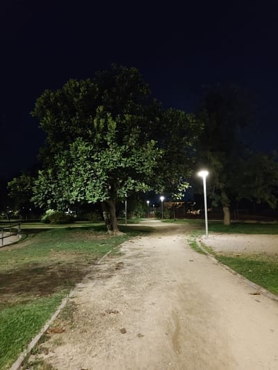 The image depicts a park pathway at night, illuminated by lampposts. A large tree with lush green leaves is prominent on the left side of the path, with another tree to the right. The path is made of light-colored gravel and curves into the distance. Grass borders the path on both sides, and a railing is visible on the far left. The sky is dark, suggesting it is nighttime. The scene appears to be a public park within the city of Motril, Spain, likely a well-maintained recreational area. There are no people or animals visible in the image.