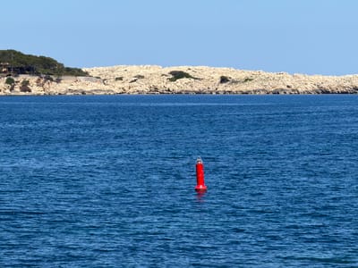 The image captures a marine environment off the coast of Cala Rajada, Spain. In the foreground, a bright red navigational buoy is centrally positioned in the deep blue water, with the water's surface showing subtle ripples. In the background, a rocky landmass stretches horizontally, featuring a rugged, light-colored cliff face, with sparse vegetation scattered along its top edge and a small line of trees on its left-most side. The sky is a clear, light blue without any cloud cover.