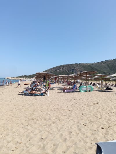 The image depicts a sandy beach on a clear, sunny day in the Municipal Unit of Larissos, Greece. A line of thatched umbrellas provides shade for numerous lounge chairs occupied by beachgoers sunbathing. In the foreground, several people are relaxing on loungers, some reading. Further back, a green inflatable ring lies on the sand. To the left, closer to the water, a few people are walking and wading in the shallow sea. The background features a treed hillside sloping down towards the beach, with a calm blue sky overhead.