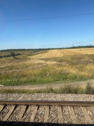 The image depicts a rural landscape with a clear blue sky. In the foreground, a set of train tracks runs horizontally across the frame. The tracks are laid on ballast, with concrete sleepers visible. Beyond the tracks, a field of dry, golden grass stretches into the distance. Further back, a harvested field with stubble is visible, interspersed with patches of green vegetation and trees. In the far distance, a line of trees forms the horizon, with several electrical pylons silhouetted against the sky. The scene appears to be located in the vicinity of Krasnyi Sad, Russia, suggesting a countryside setting with agricultural activity and infrastructure. There are no people or animals visible in the image. The overall impression is one of a sunny day in a rural, possibly agricultural, area.