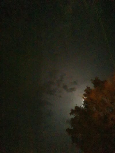 The image captures a nighttime scene in Obligado, Paraguay, dominated by a dark, cloudy sky. A flash of lightning is visible in the distance, illuminating the clouds and the silhouette of a tree. The tree, with its branches and foliage, is in the foreground on the right side of the frame, appearing dark and textured against the stormy sky. The overall atmosphere is one of a nocturnal storm.