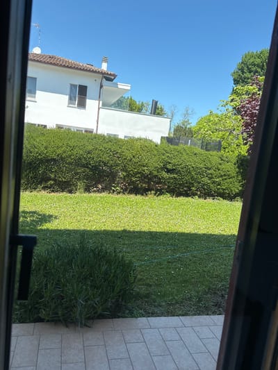 A sunlit view from a window or doorway looks out onto a residential garden and building under a clear blue sky. The dark frame of the window or door is visible at the top and bottom, with a dark handle on the bottom right.

In the immediate foreground, a light-colored tiled patio is visible on the right, adjacent to a lush green bush. Beyond this, a vibrant green lawn stretches across the mid-ground, characterized by a distinct line separating areas of bright sunlight and deep shadow, indicating direct sunlight. To the left of the lawn, a dense, tall green hedge forms a prominent boundary.

Further in the background, a white two-story building with a traditional terracotta tiled roof is visible. The building features several windows, some fitted with dark shutters, along with a chimney, a television antenna, and a satellite dish. Taller green trees, some with reddish foliage, frame the upper left and right portions of the sky.

The scene depicts a bright and clear daytime, likely late morning or early afternoon, given the strong, well-defined shadows cast by the hedge and other elements. There is no visible activity or person in the frame. The architectural style and vegetation suggest a serene, residential setting, consistent with the provided location context of Jesi, Italy. No text is visible.