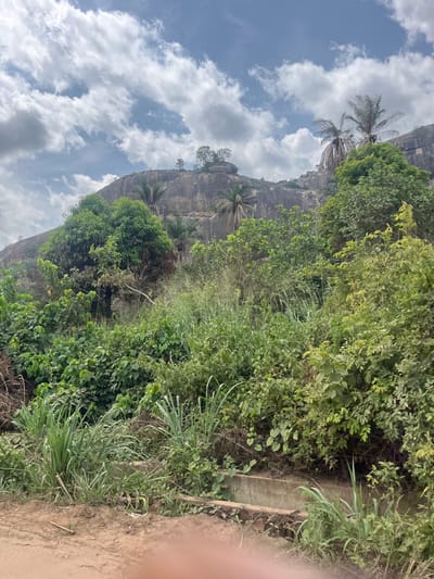 The image shows a partially visible rock formation covered in lush green vegetation under a cloudy sky. The rock face appears layered and weathered, with trees and other plants clinging to its surface. Palm trees are visible amongst the other vegetation. A concrete structure, possibly a wall or part of a pathway, is present on the right side of the image, bordered by more vegetation and dirt. The scene is a natural environment, possibly on the outskirts of a city or within a rural area of Iyara, Nigeria. The lighting suggests it is daytime. No people are visible.