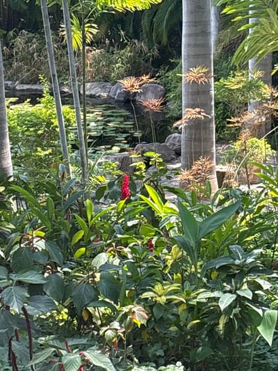 The image depicts a lush garden scene, possibly within a park or botanical garden setting, located in Tehuixtla, Mexico. The composition includes a variety of tropical plants with diverse foliage textures and colors. A notable red flower cluster draws the eye amidst the greenery. A palm tree trunk is visible on the left, with what appears to be a stone structure or wall behind it. A powerline runs horizontally through the image. The lighting suggests a bright, sunny day with sunlight filtering through the leaves.