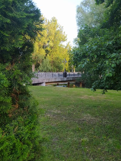 In Gusev, Russia, a park scene is captured on a sunny day, with trees framing the view of a bridge spanning a body of water. A person is seen walking on the bridge, which features a decorative black railing. Lush green grass covers the foreground, leading towards the bridge and the trees beyond. The sunlight illuminates the foliage, creating a warm, inviting atmosphere.