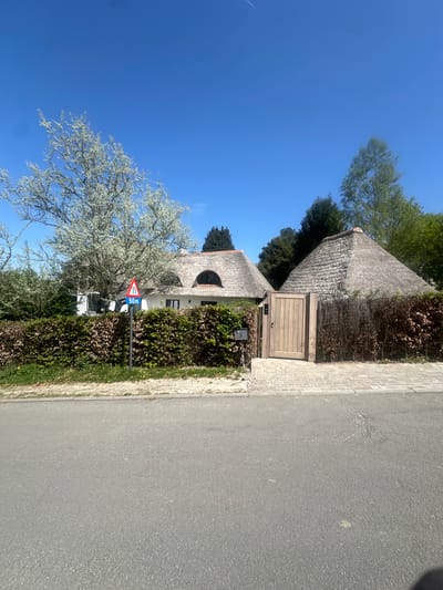 This media file presents a bright, sunny daytime street scene in Hoeilaart, Belgium, characterized by traditional architecture and vibrant greenery.

On the right side of the frame, a house with a distinctive, deeply textured thatched roof is prominent, partially obscured by a tall, neat hedge. A light wooden gate, set into the hedge, leads to the property. Attached to the gate post is a small white rectangular sign with a black frame, displaying the house number '3' in black, with a small black mailbox below it.

Further to the left, another part of a building with a similar thatched roof and an arched window is visible. In the mid-ground on the left, a large deciduous tree with delicate white or light green blossoms stands out against the clear blue sky. Additional green trees are scattered in the background.

A road sign is positioned near the street. It consists of a red triangular warning sign with two black arrows pointing in opposite directions, indicating "oncoming traffic" or a "narrow road," and a rectangular blue auxiliary sign below it, stating "50m."

The foreground features an asphalt road, bordered by a light-colored brick sidewalk running parallel to the houses. The sky above is a cloudless, brilliant blue, indicating fair weather. The scene conveys a peaceful, well-maintained residential environment.