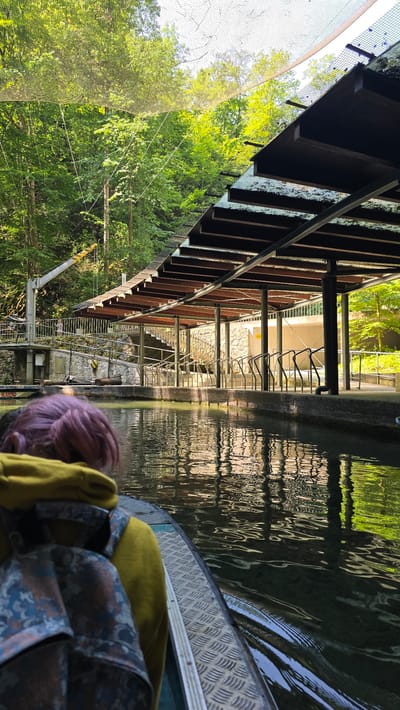 This media file captures a view from a boat traveling on a narrow body of water, likely a canal or river, bordered by lush green trees and a covered walkway structure. The walkway appears to be made of wood and metal, with numerous vertical supports and a slatted roof. It overlooks the water and the boat. Beyond the walkway, a stone wall and metal railings are visible, suggesting a developed area, possibly a tourist attraction or a park.
In the foreground, the edge of the boat is visible, featuring a metal tread plate. A person's head and shoulders are partially in view, with distinct purple hair and a yellow garment. The water reflects the surrounding greenery and the overhead structure, creating a rippling, abstract pattern of light and shadow.
The scene is bathed in natural light, suggesting it is daytime. The bright sunlight filtering through the leaves indicates fair weather. The overall impression is one of a peaceful, scenic journey through a verdant, structured environment. The presence of the boat and the person implies an activity of leisure or exploration. The location context provided points to Nové Dvory, Czechia, which aligns with the European-style architecture and natural setting. No visible text is discernable in the image.