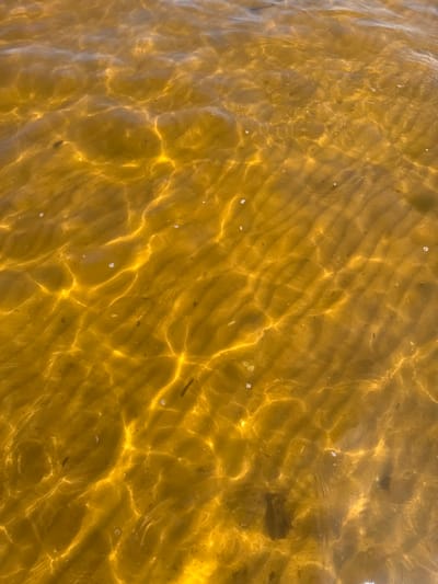 The image is a close-up, overhead view of shallow, murky, golden-brown water, likely a lake or slow-moving river, with sunlight creating shimmering patterns on the surface and illuminating the sandy, rippled bottom. There are small specks of debris and a few tiny bubbles visible in the water. The environment suggests a natural body of water, potentially in a park or rural area like Kalngale, Latvia. No people or specific objects are clearly identifiable, and no actions or interactions are depicted.