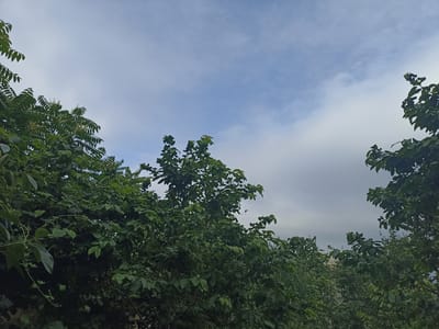 The image depicts a view looking upwards towards the sky, framed by lush green trees. The sky is partly cloudy, with areas of bright blue interspersed with soft, white clouds. A small dark object, possibly a bird or an insect, is visible in the upper center of the frame. The trees are dense and full of leaves, creating a natural canopy. The overall scene suggests an outdoor environment, likely a garden or park area in Gusar, Azerbaijan, given the provided context. There are no people or discernible human activity in the image.