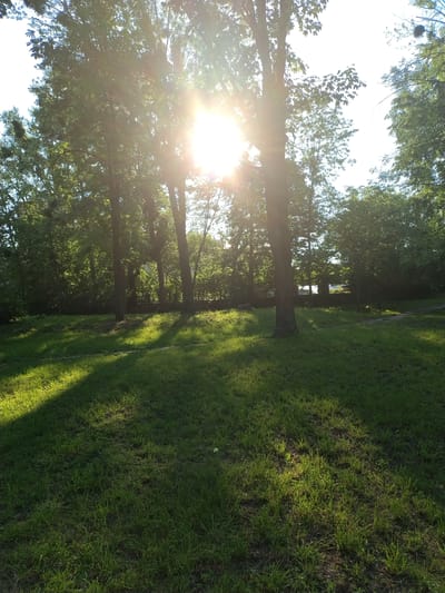 The image shows a sun-drenched park in Ivankiv, Ukraine. The sun is shining brightly through the leaves of tall trees, casting long shadows across a lush green lawn. The overall impression is one of a peaceful, late afternoon or early evening. The scene is natural and serene, with no people or man-made objects visible in the immediate foreground or midground. The focus is on the interplay of light and shadow on the grass and foliage. The sun's rays create a warm, inviting atmosphere. The dense canopy of leaves suggests a summer or early autumn day. The image is oriented vertically, as if taken by someone looking up through the trees or tilting their phone downwards to capture the scene.