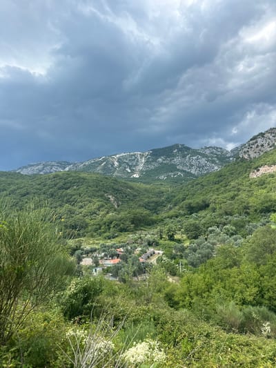 The image depicts a mountainous, verdant landscape with a village nestled in the valley. The sky is overcast with dark, heavy clouds, suggesting an impending storm. The foreground is filled with lush green foliage, including tall grasses and smaller bushes with white flowers. In the mid-ground, a small cluster of houses with red tile roofs is visible, surrounded by olive trees. The background is dominated by a range of rugged mountains, characterized by rocky, sparsely vegetated slopes and lighter-colored rock formations at the higher elevations. The overall scene conveys a sense of natural beauty and rural tranquility, contrasted by the dramatic sky. The location is identified as Čučuci, Montenegro.