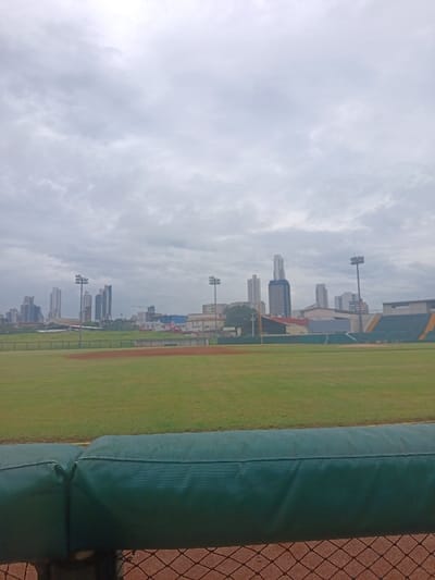 The image displays an unoccupied baseball stadium, likely the Estadio Nacional de Panamá (Rod Carew National Stadium), situated in the Curundú district of Panama City, Panama. The foreground features a dark green padded barrier, possibly a dugout railing or protective wall, positioned above a red-brown chain-link fence. The midground is dominated by the green grass of the baseball outfield and a portion of the red-brown dirt infield. In the background, two tall metal floodlight towers equipped with multiple lamp arrays are prominently visible on either side of the field. Beyond the stadium structures, a distinct cityscape rises, characterized by numerous tall, modern skyscrapers under a uniformly overcast sky. Sections of stadium grandstands with green and yellow accents are visible on the right. No individuals or active subjects are present, and no dynamic actions or interactions are depicted.