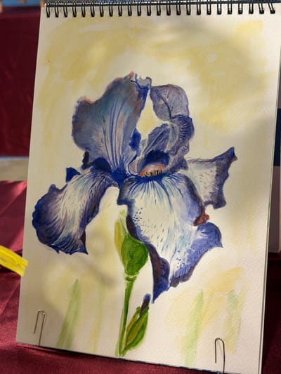 A watercolor painting of a single purple iris with a yellow-green stem and leaves is presented in a spiral-bound sketchbook. The background of the painting is a wash of pale yellow and light green. The sketchbook is resting on a dark red fabric surface, possibly a tablecloth or runner. A yellow object, possibly a ribbon or fabric strip, is visible on the left side of the image, partially overlapping the sketchbook. Two silver paper clips are securing the page of the sketchbook. The overall lighting suggests an indoor setting. The image does not contain any information or visual cues that would allow for determining its location in the city of Elx / Elche, Spain.