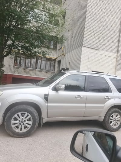A black and white cat is perched on the roof of a silver Ford Escape SUV parked on a paved street in front of a white brick apartment building. The building has several windows with metal bars. A large tree with green foliage is to the left of the building. The scene appears to be in an urban environment in Bryansk, Russia.