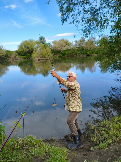 An elderly man with white hair and sunglasses is fishing on the bank of a calm river in Krushare, Bulgaria. He is wearing a camouflage shirt and brown pants. He holds a fishing rod in his right hand, and a small fish is caught on the line. Two other fishing rods are set up nearby. The river reflects the blue sky and the lush green trees lining the opposite bank. The foreground shows a muddy bank with green grass and vegetation. The overall scene depicts a peaceful afternoon of fishing.