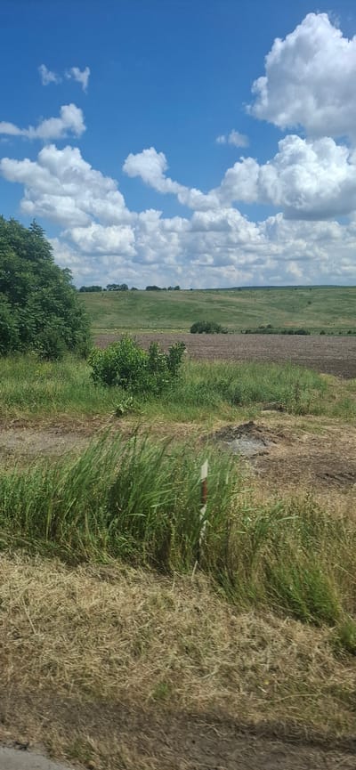 The image captures a rural landscape in the vicinity of Maslarevo, Bulgaria, on a bright, partly cloudy day. In the foreground, tall green grass and dry, straw-like vegetation line a dirt path. A red and white striped marker post is partially visible amidst the grass. Beyond this, a plowed field with dark brown soil stretches into the midground, with a few scattered hay bales visible. Gently rolling green hills form the backdrop, dotted with trees and smaller shrubs. A large, dense green tree is prominent on the left side of the image, bordering the grassy area. The sky above is a vibrant blue, filled with numerous fluffy white cumulus clouds. The overall scene depicts a tranquil agricultural or pastoral setting.
