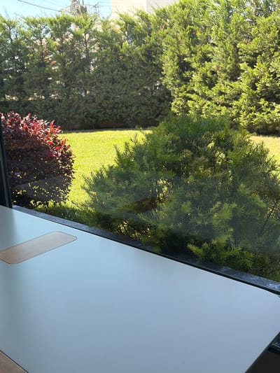 The image captures a view of a verdant backyard through a window, with a portion of a desk in the foreground. The backyard features a meticulously manicured green lawn, bordered by a row of tall, dense green cypress trees along the back. To the left of the lawn, a shrub with deep red foliage adds a contrasting color. In the middle ground, a fluffy, light green bush with fine, needle-like leaves is prominent. The scene appears to be set on a sunny day, with dappled sunlight filtering through the trees. In the foreground, a light-colored desk surface is visible, with a wooden inlay towards the left side, possibly an electrical outlet or decorative element. The overall impression is one of a peaceful, well-maintained outdoor space, likely part of a residential property. The location is identified as Sakarya, Turkey.