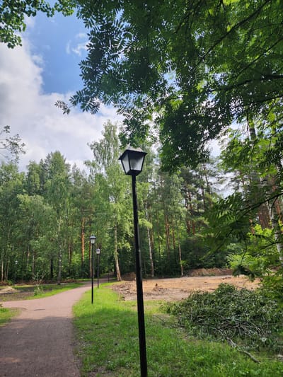 This is a ground-level, eye-level, wide shot of a pathway in a park in Otradnoye, Russia. The pathway is made of a gravel-like material and curves to the left. It is bordered by lush green grass and trees. In the foreground, there is a tall black lamppost with a square lantern. Several more lampposts of the same design are visible further down the path. The background is dominated by a dense forest of deciduous and coniferous trees, with some areas of disturbed earth and piles of cut branches suggesting recent landscaping or construction work. The sky above is blue with scattered white clouds. The overall scene depicts a park or wooded area, possibly undergoing maintenance or development.