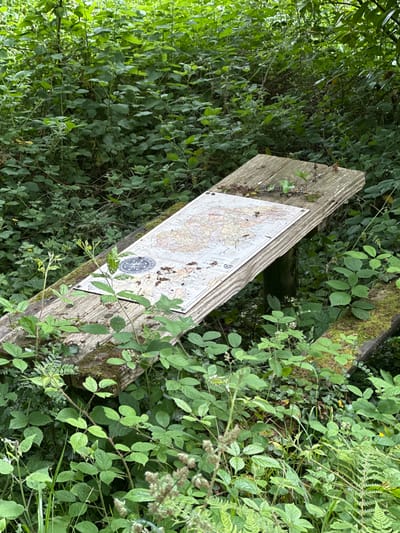 The image shows a wooden bench with a map and a compass on it, placed in a forest setting. The bench is weathered and covered in moss, suggesting it has been there for some time. The map is spread out on the bench, and the compass is placed on top of it. The surrounding environment is lush and green, with dense foliage and trees. The image appears to have been taken in the townland of Ballyrudder, near Castlecomer, County Kilkenny, Ireland.