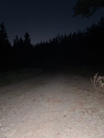 The image depicts a dimly lit, unpaved road leading into a dense forest at dusk or night. The road is covered in gravel and dirt, with some scattered leaves and small stones. On the left side of the road, tall grass and undergrowth are visible, merging into the dark mass of trees that form a solid wall along the horizon. The trees are predominantly coniferous, with their silhouettes sharp against the fading twilight sky. The sky itself is a deep, dark blue, transitioning to black towards the top of the frame. A dry, dead branch with sharp twigs is prominent in the lower right corner, adding a stark detail to the scene. There are no people, vehicles, or specific identifiable structures present in the image. The overall atmosphere is one of isolation and natural darkness. The location is Budišov nad Budišovkou, Czechia.