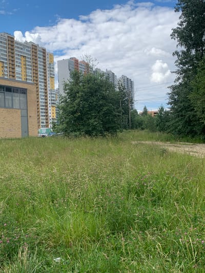 This is an outdoor, eye-level, vertical, medium shot of a modern residential area in Borisova Griva, Russia. The image is divided into two distinct sections. The left side features several tall, modern apartment buildings, some with yellow and white facades, and balconies. These buildings are partially obscured by lush green trees and a bright blue sky with scattered white clouds. Electrical wires are visible against the sky. The right side of the image is dominated by a large expanse of green grass, with some small purple flowers interspersed. A dirt path or unpaved area runs through the grass, separating it from the trees and buildings. The lighting suggests it is daytime, possibly midday, with bright sunlight illuminating the scene. There is no discernible activity or event taking place, presenting a quiet, everyday urban landscape. The location cues (apartment buildings, trees, and grassy areas typical of a park or undeveloped land within a residential zone) align with the provided context of Borisova Griva, Russia. No visible text is present in the image.