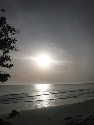 A view of the beach in Blanglancang, Indonesia, captured during daytime under a bright, hazy sun. The sun is positioned in the upper center of the frame, radiating a strong glare that reflects off the calm ocean surface. Gentle waves roll towards the shore, creating shimmering patterns of light. The foreground features a sandy beach with some scattered debris, including a dark, gnarled piece of driftwood or a tree stump. To the left of the frame, the silhouette of a tree with dark foliage extends into the sky. The sky is overcast with a light haze, obscuring finer details of the clouds. The overall scene conveys a tranquil beach environment with the sun prominently displayed.