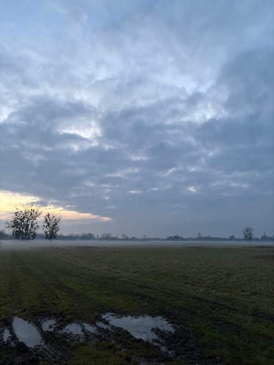 A misty landscape under a cloudy sky. A field with visible mud puddles occupies the right side of the frame, fading into a hazy distance. The left side showcases a textured sky filled with layers of clouds, hinting at a sunrise or sunset. A few bare trees are visible at the field's edge and in the distance. The color palette consists primarily of gray, green, and muted yellows.