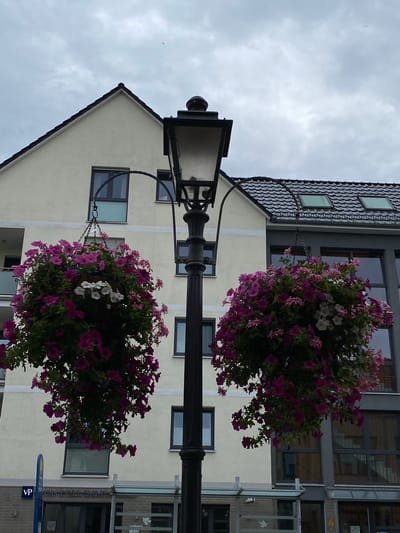 The image shows a street scene in Bückeburg, Germany, featuring a street lamp with two hanging baskets of pink and white flowers. Behind the lamp, a light-colored building with a dark tiled roof and several windows is visible. To the right of this building, another building with a darker facade and large windows is partially visible. The sky is overcast. In the foreground, a bus stop shelter with a glass roof is present, along with signage indicating a real estate business, "VON POLL IMMO." The overall environment appears to be an urban setting. There are no people visible in the image.