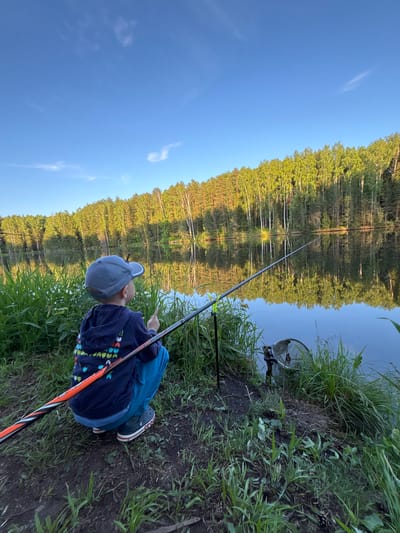 A young boy, viewed from behind in a crouching position, is engaged in fishing on the bank of a calm lake or pond in Mishkino, Russia. He wears a gray baseball cap, a dark blue hoodie adorned with colorful cartoon-like characters, blue trousers, and dark Crocs with white and red trim. A fishing rod, black with an orange and black section near the handle, extends from his position into the water, supported by a black stand embedded in the bank. To the right of the rod, a metallic keepnet is partially submerged in the water, positioned among the tall green grass along the shoreline. The lake reflects the clear blue sky and a dense forest lining the opposite bank. The forest consists of both light-trunked deciduous trees with vibrant green leaves and darker coniferous trees. Sunlight illuminates the upper canopy of the trees, casting long shadows. The immediate foreground features a mixture of green grass, sparse vegetation, and exposed dark earth. The sky is bright blue with faint, wispy white clouds.