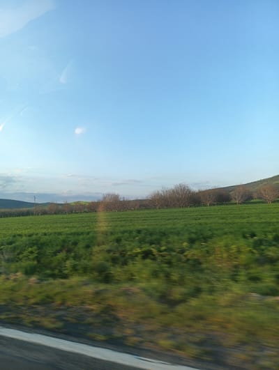The image presents a landscape viewed from a moving vehicle, possibly near Sadievo, Bulgaria. The sky is predominantly blue with some wispy clouds. A green field stretches across the middle ground, bordered by a row of trees with bare branches. A low hill is visible in the background. The foreground is blurred due to the motion, showing vegetation and a glimpse of a road or pavement. There are no identifiable people or specific actions.